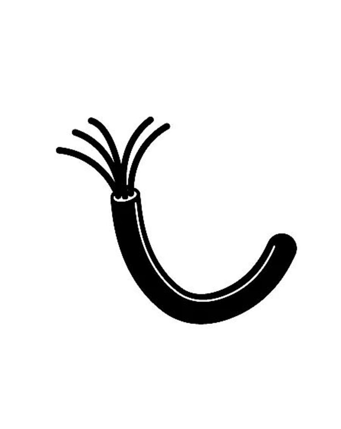 CÂBLE - 3  MT - 3 X 1,5 MMQ